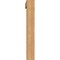 Ekena Millwork Olympic Traditional Smooth Bracket w/ Offset Brace, Western Red Cedar, 5 1/2"W x 40"D x 40"H BKT0604X40X40OLY01SWR - alternate 3